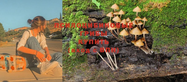 трава Зеленодольск