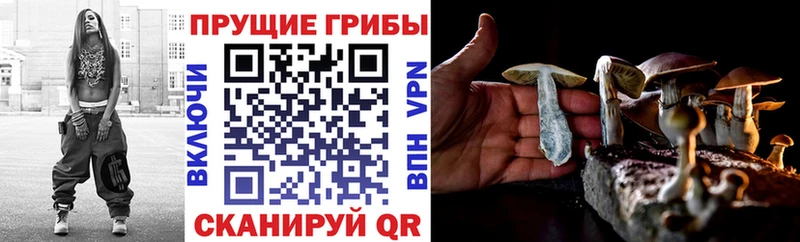 Галлюциногенные грибы GOLDEN TEACHER  Сычёвка 
